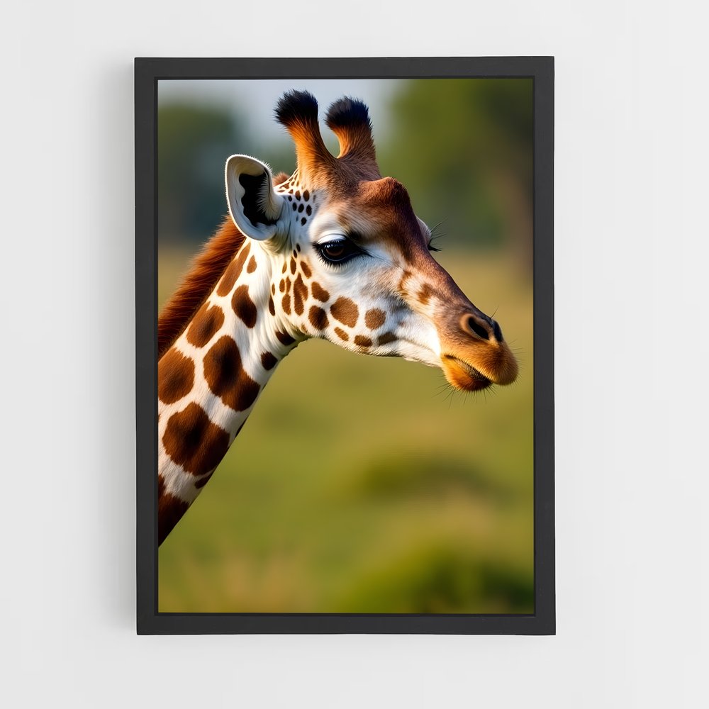 ap-giraffe-3 cadre Noir
