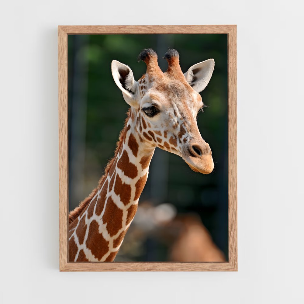 ap-giraffe-4 cadre Bois clair