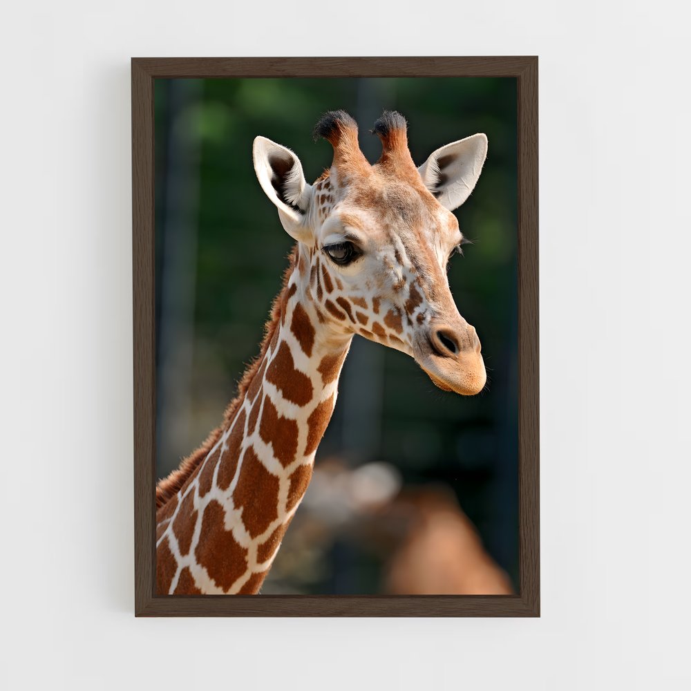 ap-giraffe-4 cadre Bois foncé