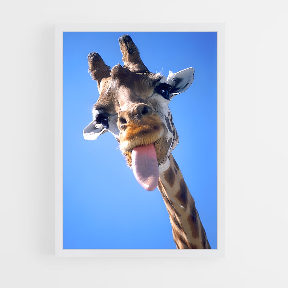 ap-giraffe-5 cadre Blanc