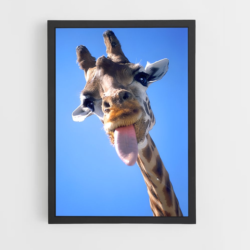ap-giraffe-5 cadre Noir