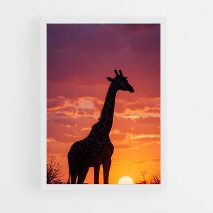 ap-giraffe-8 cadre Blanc