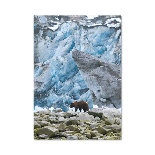 Poster Glacier Guardian