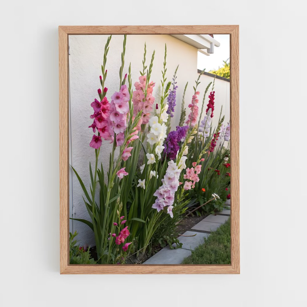 ap-gladiolus-10 cadre Bois clair