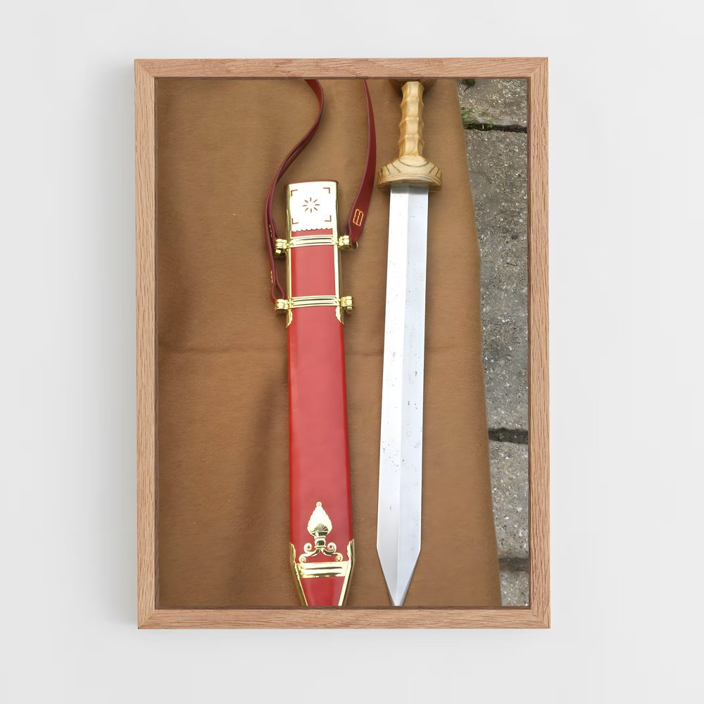 ap-gladius-2 cadre Bois clair