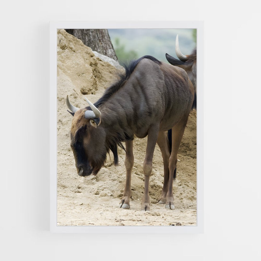 ap-gnu-2 cadre Blanc