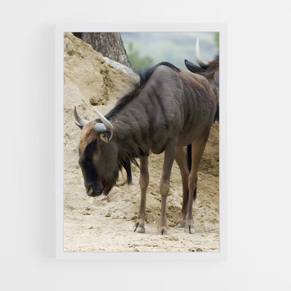 ap-gnu-2 cadre Blanc