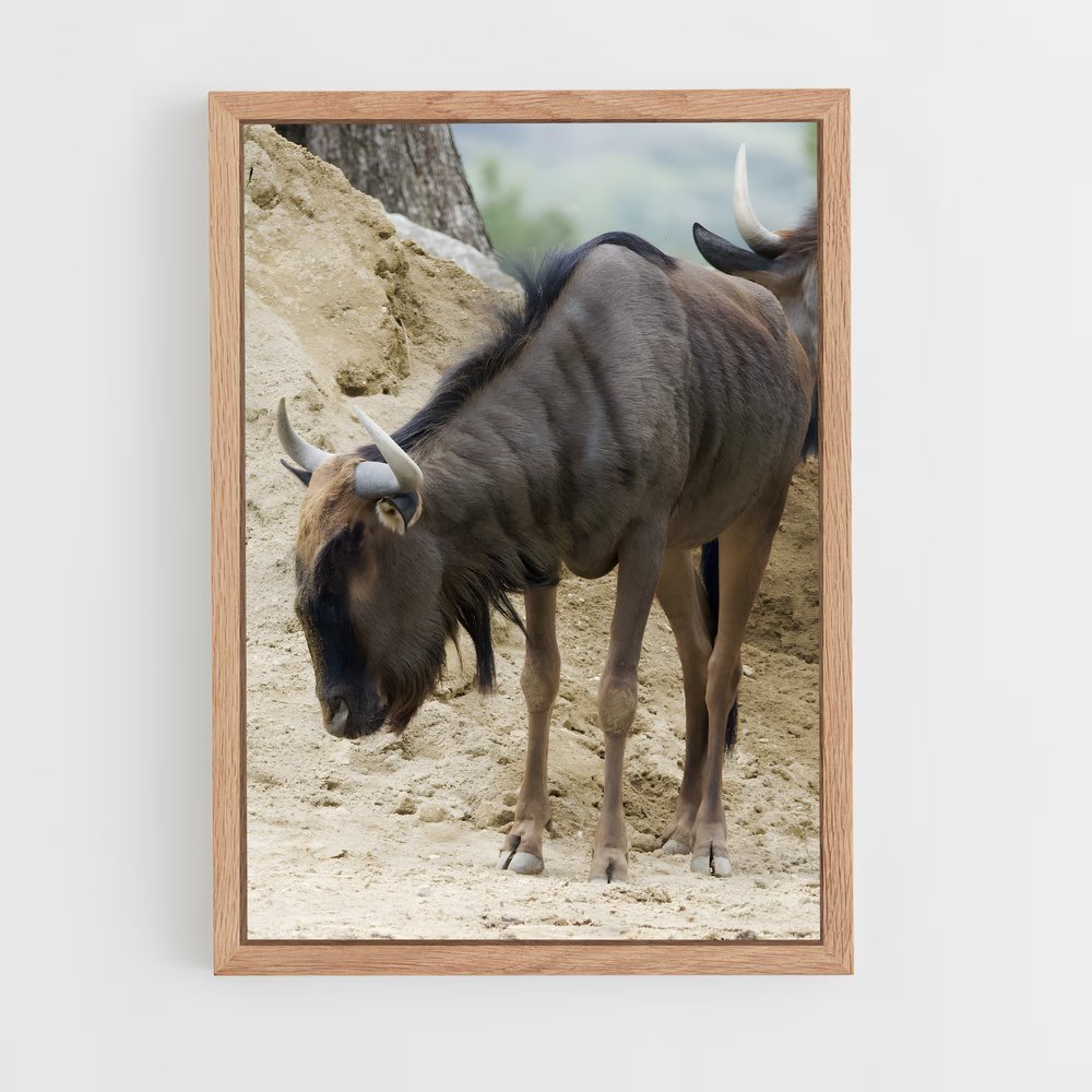 ap-gnu-2 cadre Bois clair
