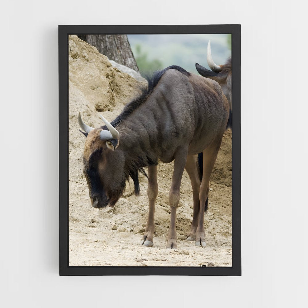 ap-gnu-2 cadre Noir