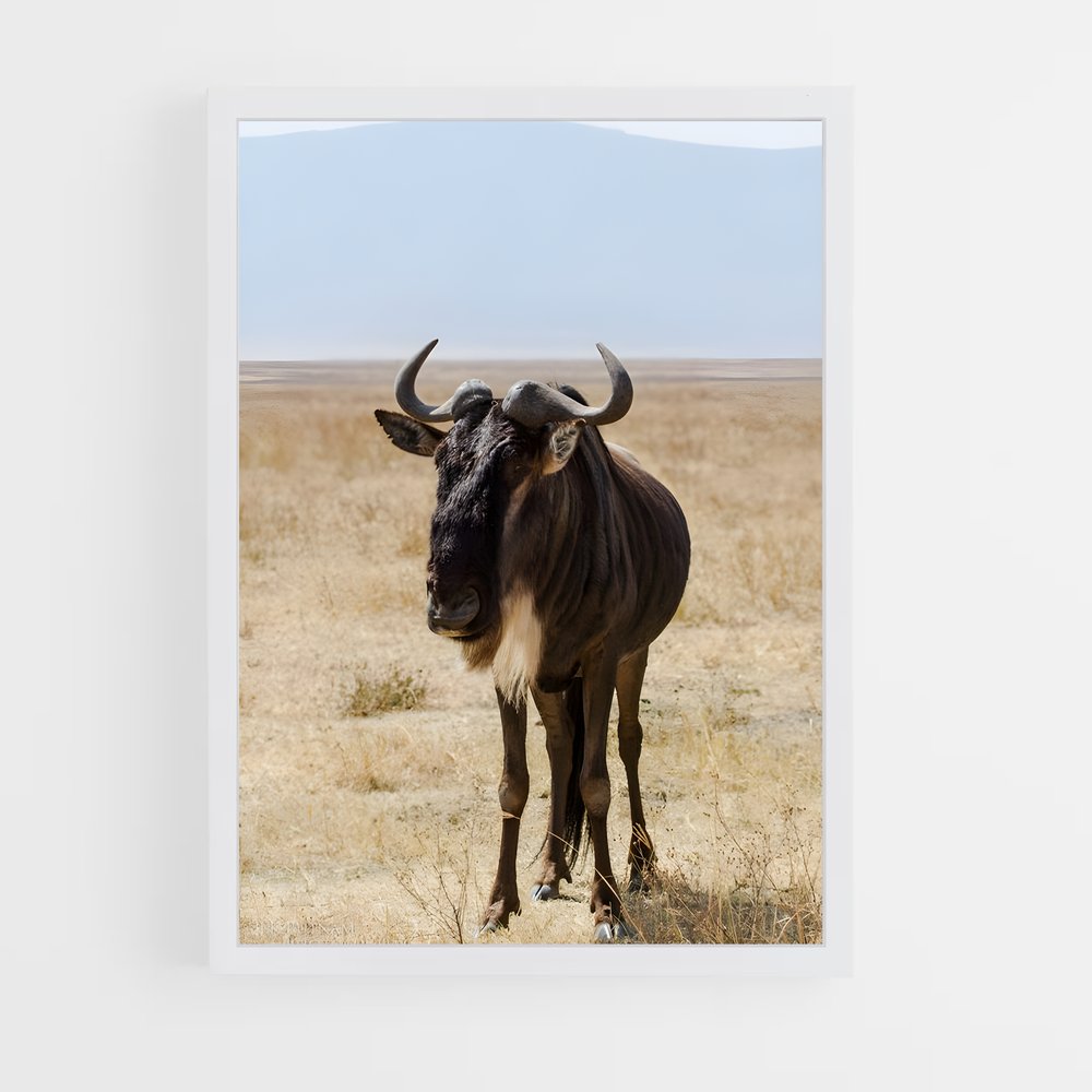 ap-gnu-3 cadre Blanc