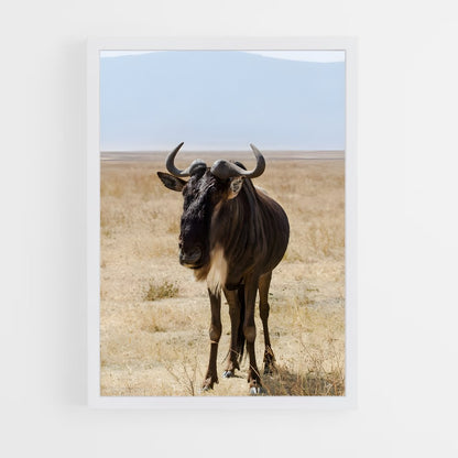 ap-gnu-3 cadre Blanc