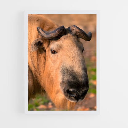 ap-gnu-4 cadre Blanc