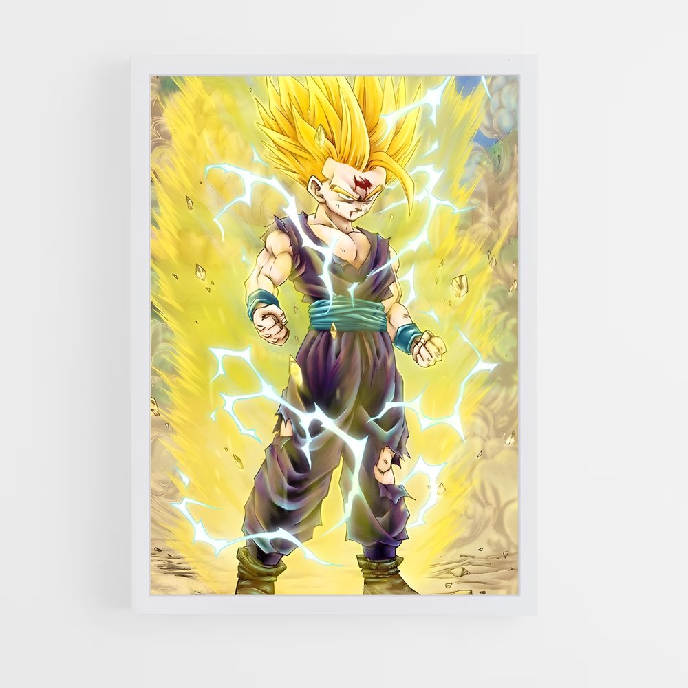 ap-gohan-10 cadre Blanc