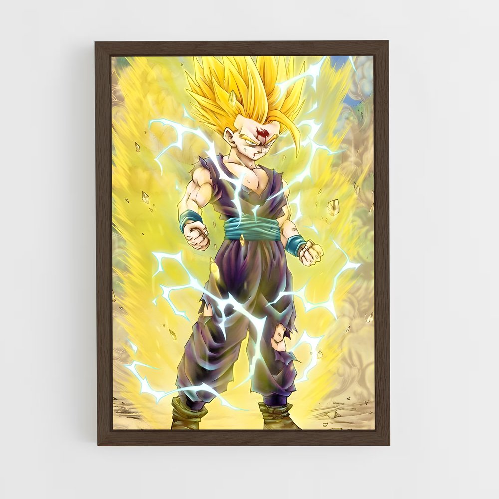 ap-gohan-10 cadre Bois foncé