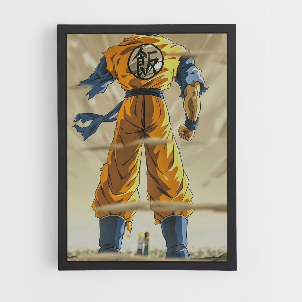 ap-gohan-2 cadre Noir