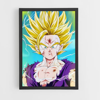ap-gohan-4 cadre Noir
