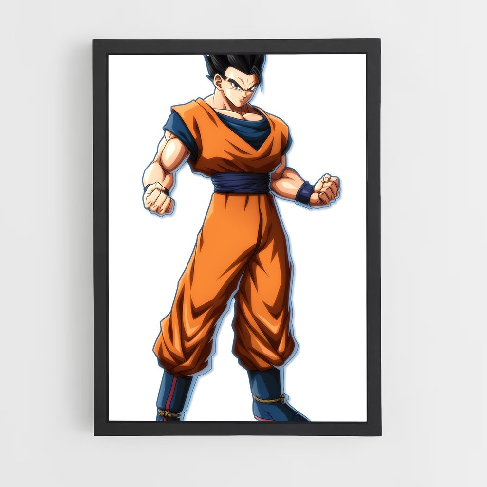 ap-gohan-5 cadre Noir