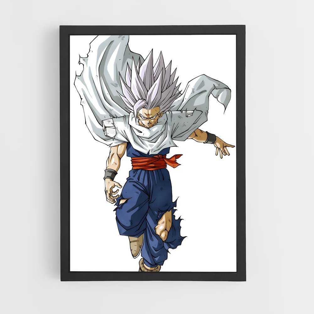 ap-gohan-6 cadre Noir