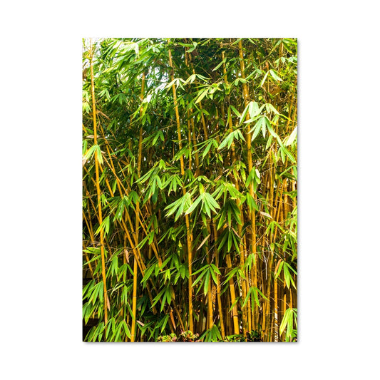 Poster Forêt Dorée