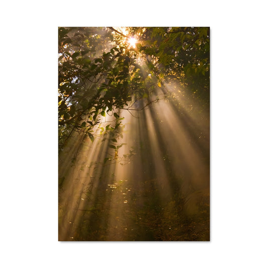 Poster Golden hour 97831