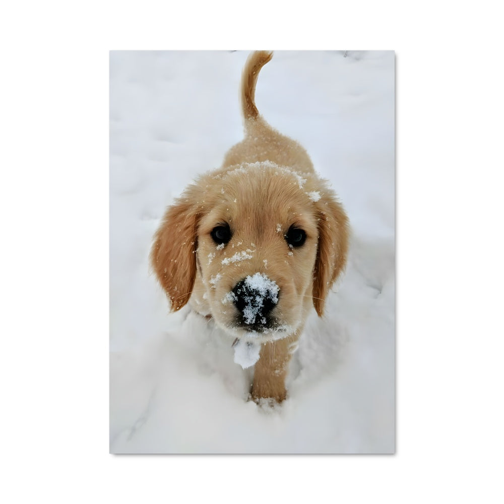 Poster Neige et Joie