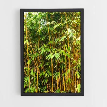 ap-golden bamboo-2 cadre Noir