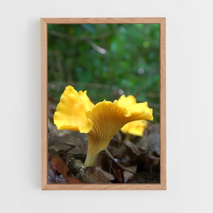 ap-golden chanterelle-1 cadre Bois clair