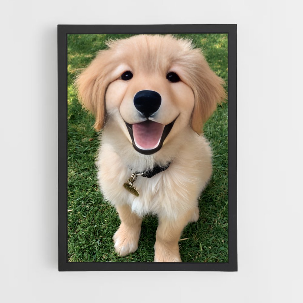 ap-golden retriever-1 cadre Noir