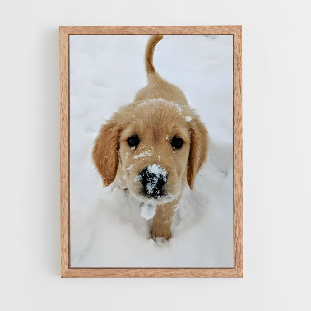 ap-golden retriever-5 cadre Bois clair