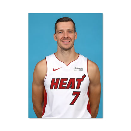 Poster Goran dragic 59414