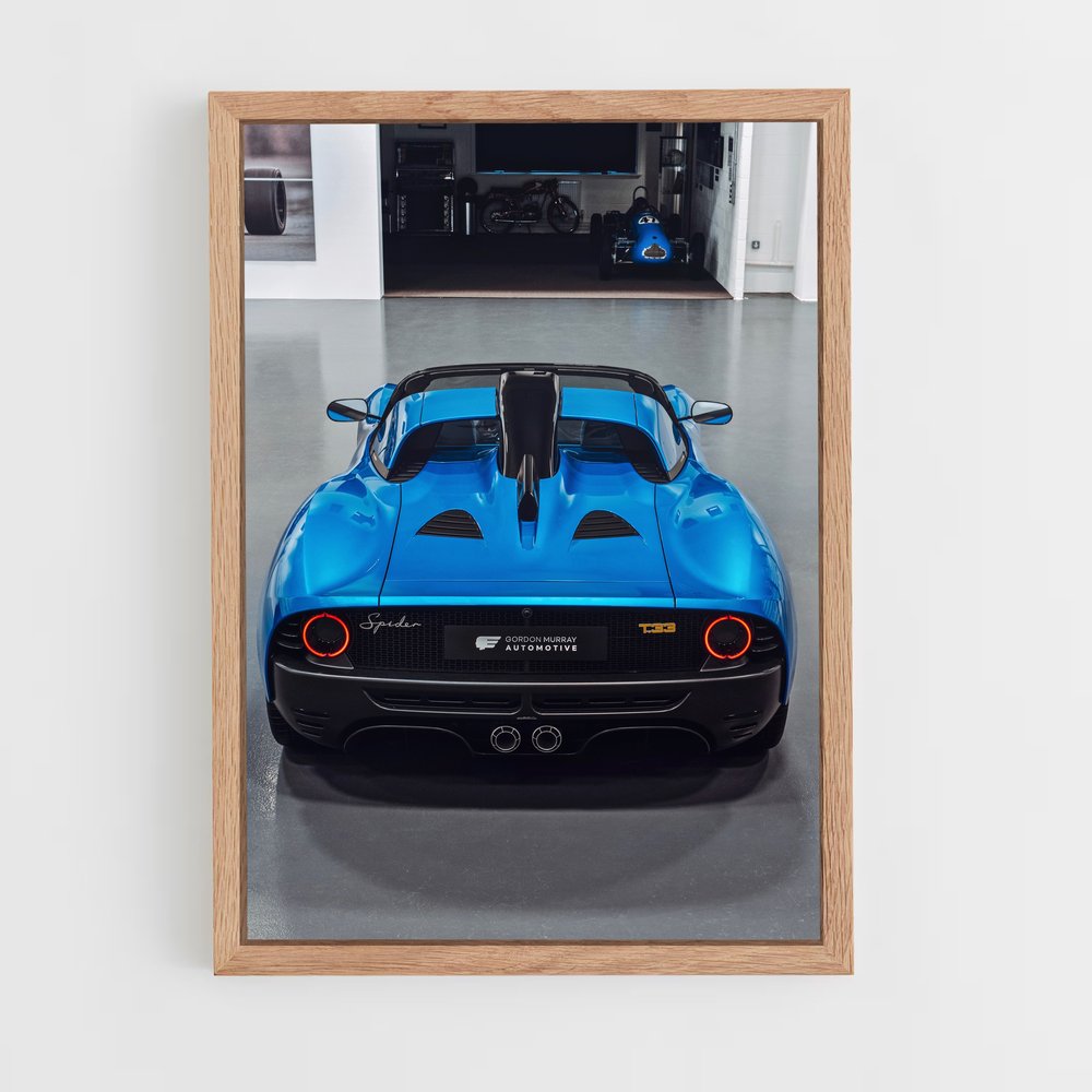 ap-gordon murray-4 cadre Bois clair