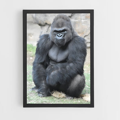 ap-gorilla-6 cadre Noir