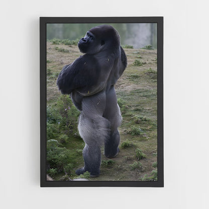 ap-gorilla-9 cadre Noir