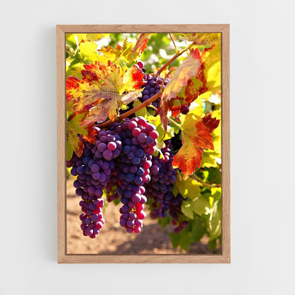 ap-grape vine-7 cadre Bois clair