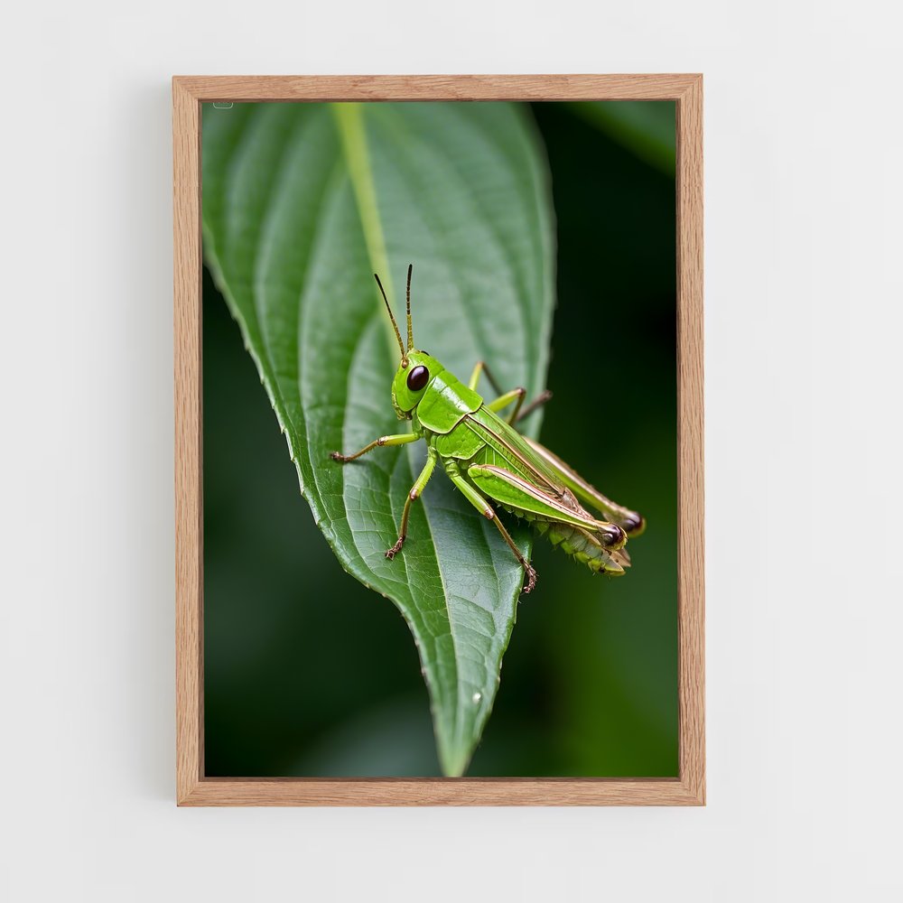 ap-grasshopper-2 cadre Bois clair