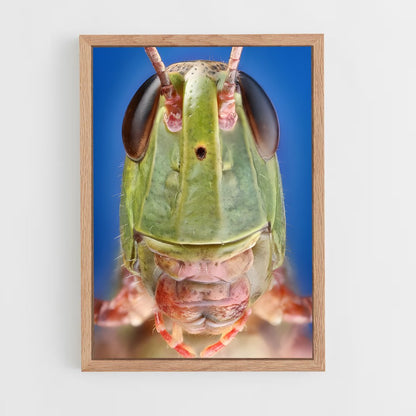 ap-grasshopper-7 cadre Bois clair