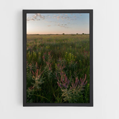 ap-grassland-2 cadre Noir