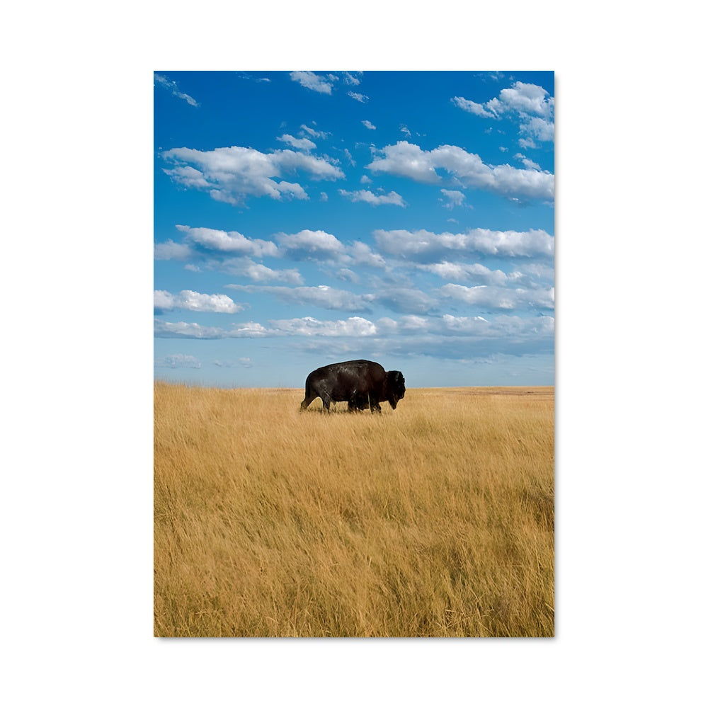 Poster Champs Éternels