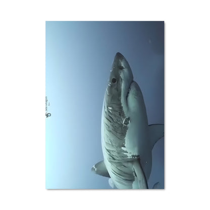 Poster Les Profondeurs Sauvages