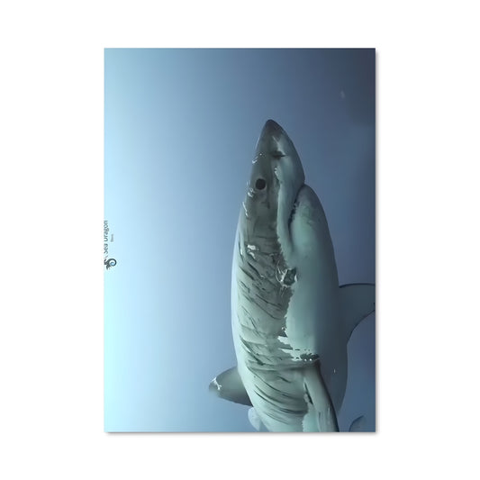 Poster Les Profondeurs Sauvages