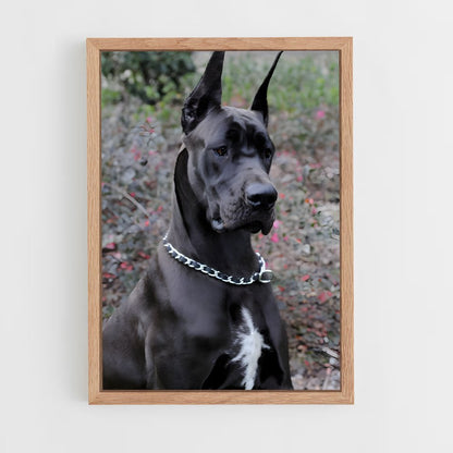 ap-great dane-3 cadre Bois clair