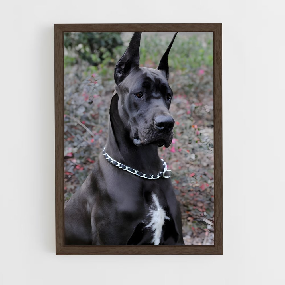 ap-great dane-3 cadre Bois foncé