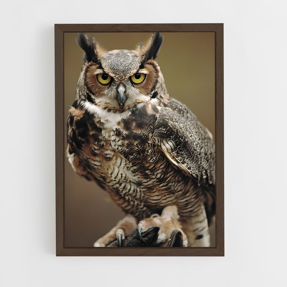 ap-great horned owl-2 cadre Bois foncé