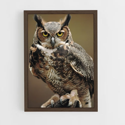 ap-great horned owl-2 cadre Bois foncé