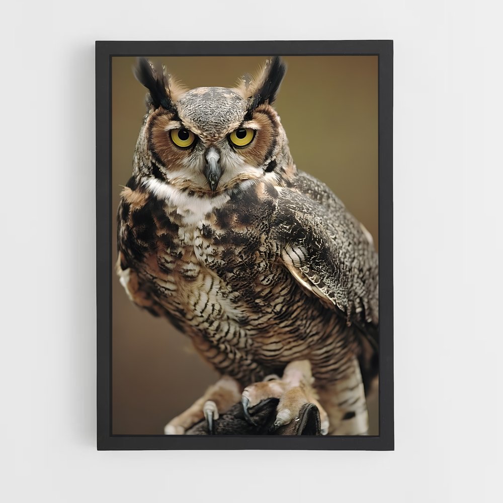 ap-great horned owl-2 cadre Noir