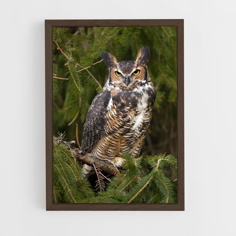 ap-great horned owl-3 cadre Bois foncé