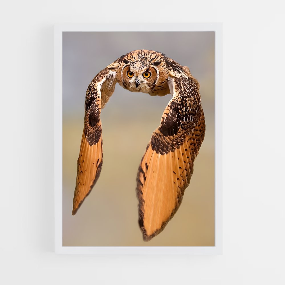 ap-great horned owl-5 cadre Blanc