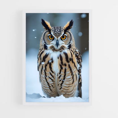 ap-great horned owl-7 cadre Blanc