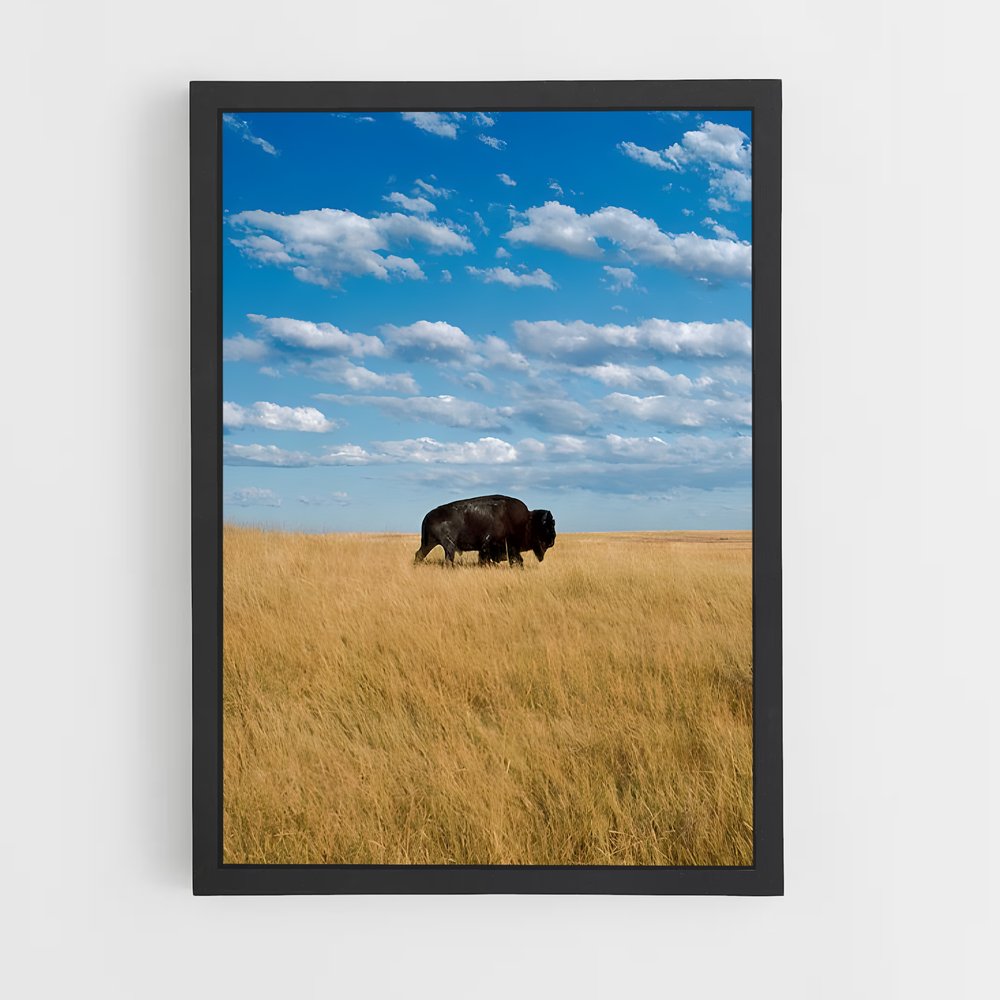 ap-great plains-3 cadre Noir