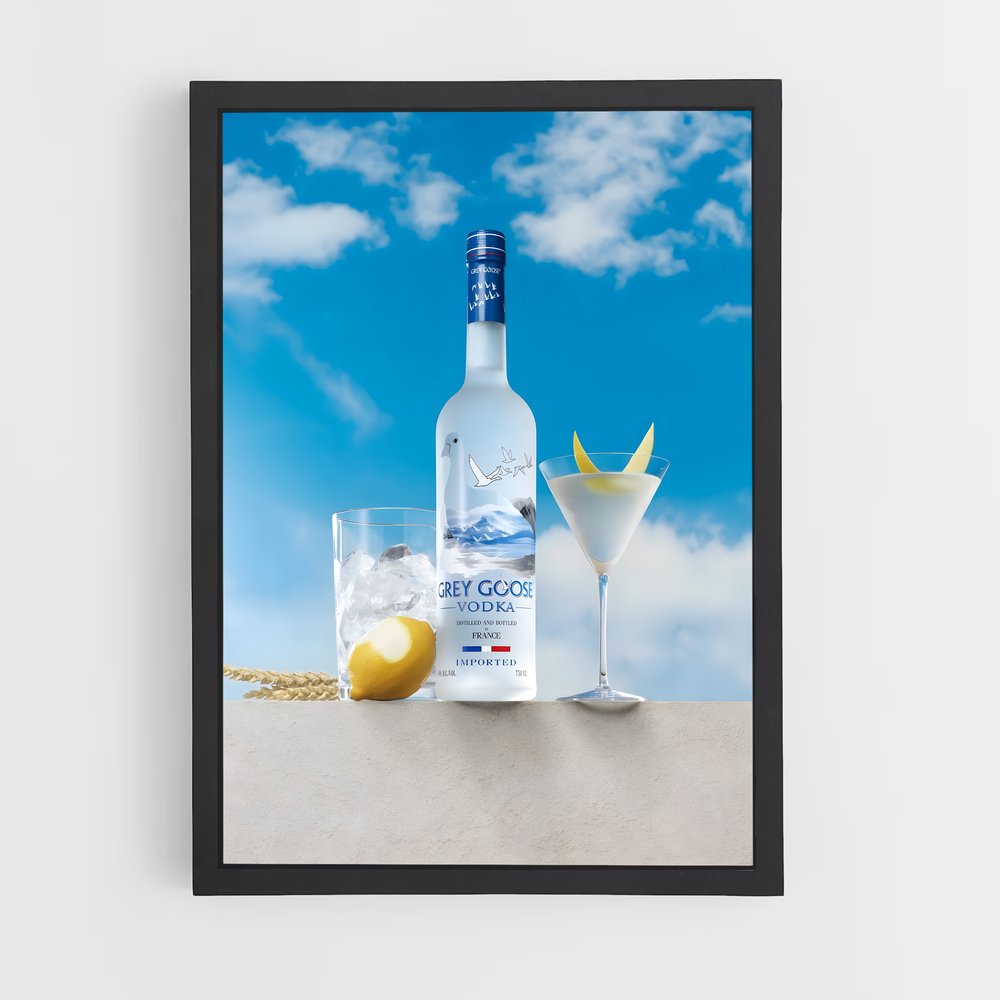ap-grey goose-4 cadre Noir